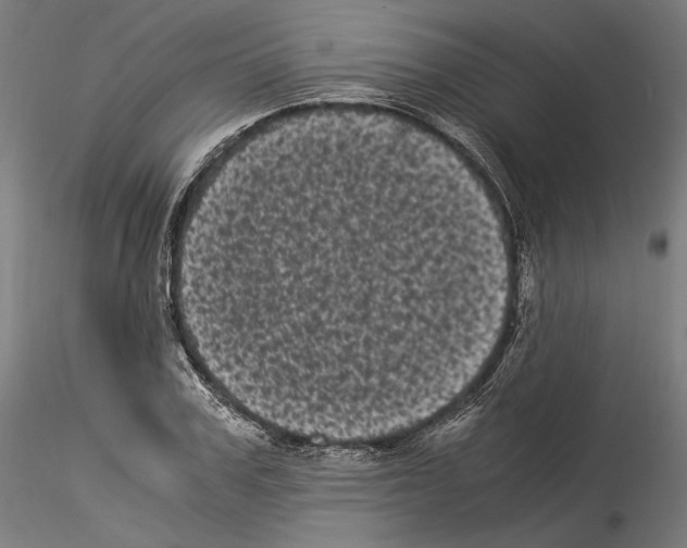 X0000114520979200911301112