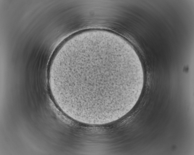 X0000114520980200911301112