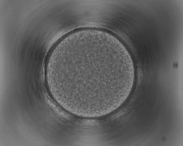 X0000114520982200911301112