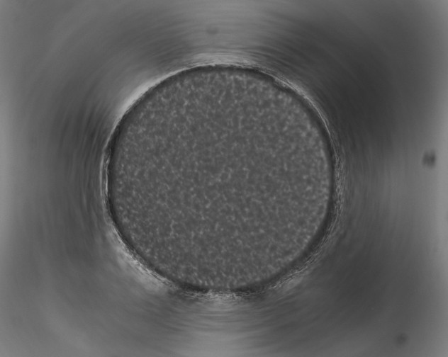 X0000114520983200911301112