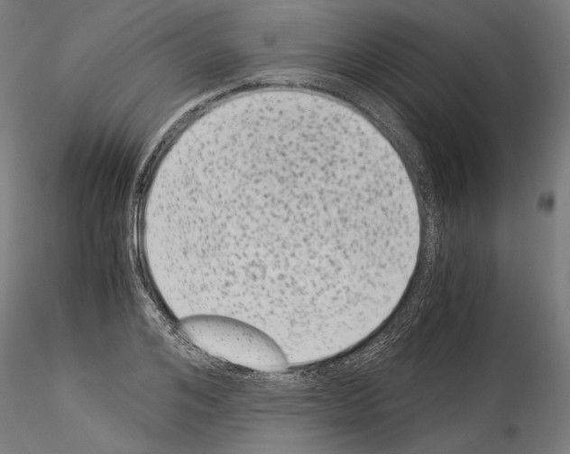 X0000114520984200911301112