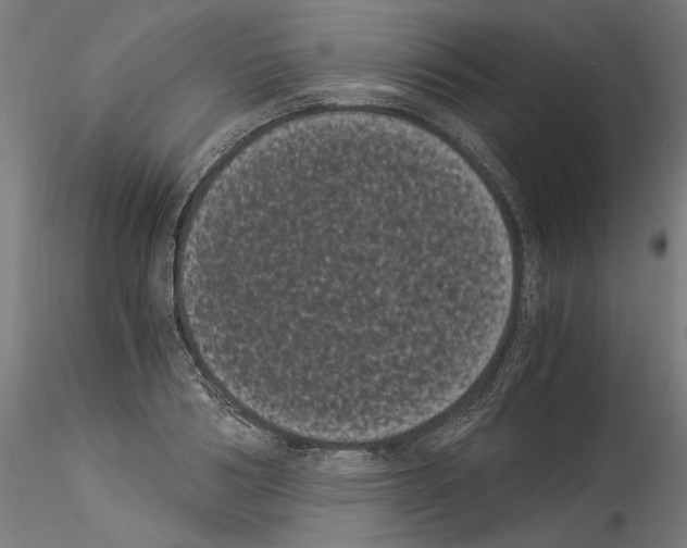 X0000114520986200911301112