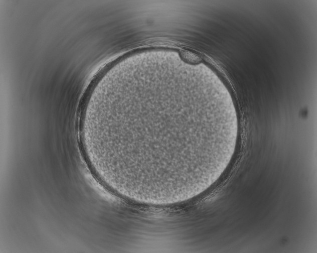 X0000114520987200911301112