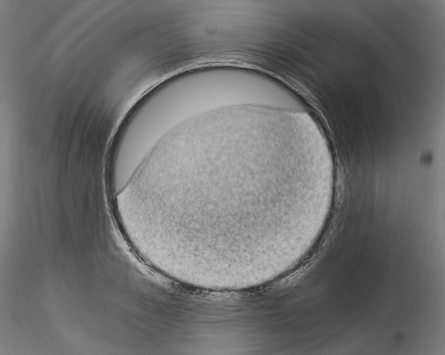 X0000114520989200911301112