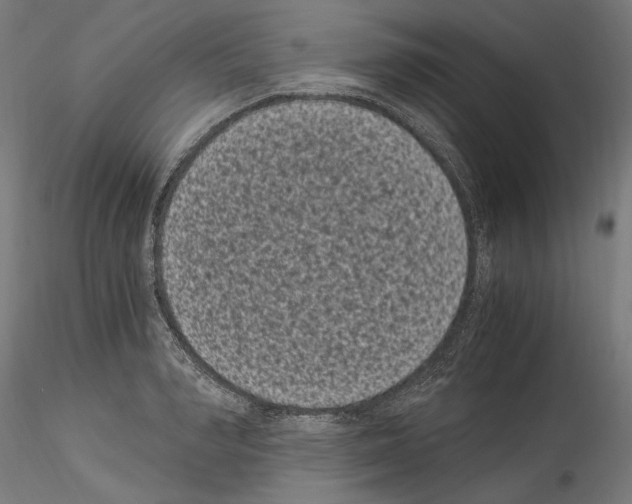 X0000114520990200911301112