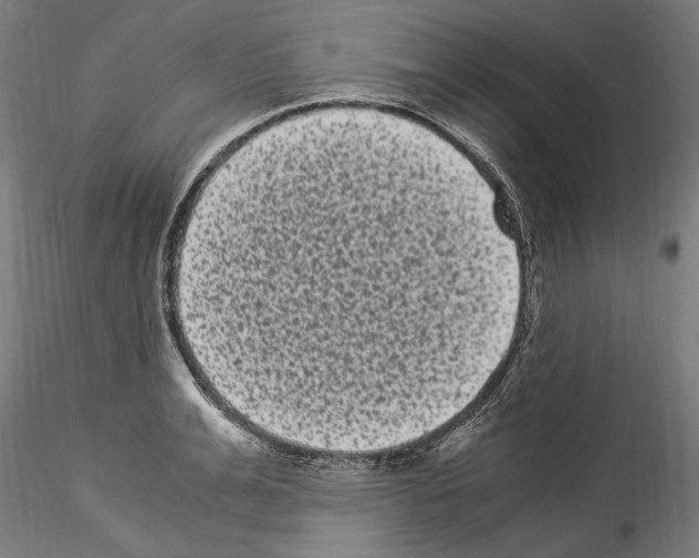 X0000114520991200911301112