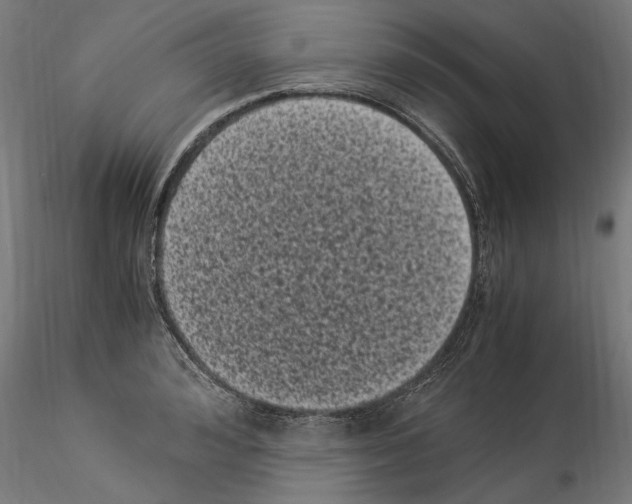 X0000114520992200911301112