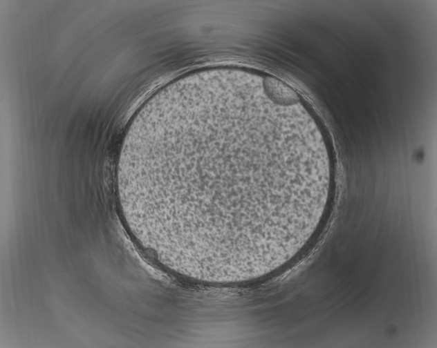 X0000114520993200911301112