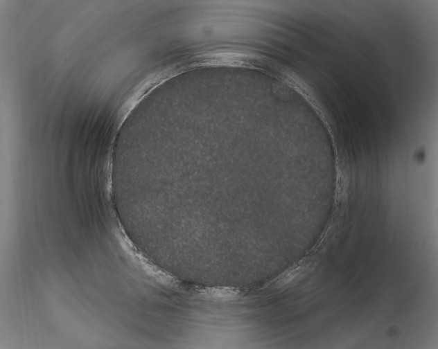 X0000114520994200911301112