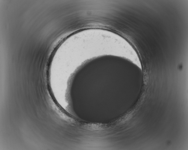 X0000114520995200911301112