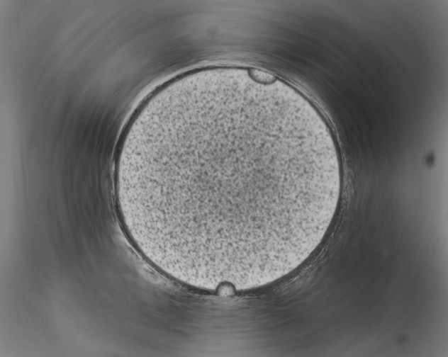 X0000114520996200911301112