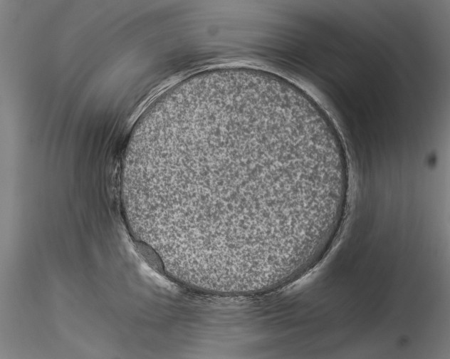 X0000114521001200911301112