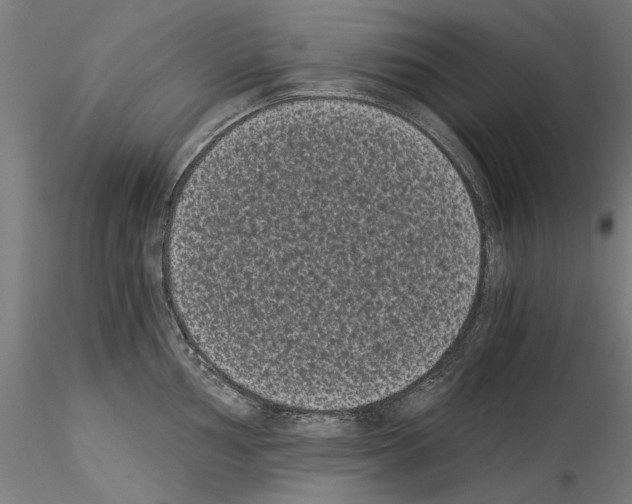 X0000114521002200911301112