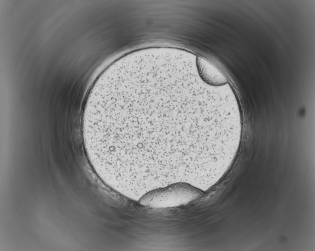 X0000114521004200911301112