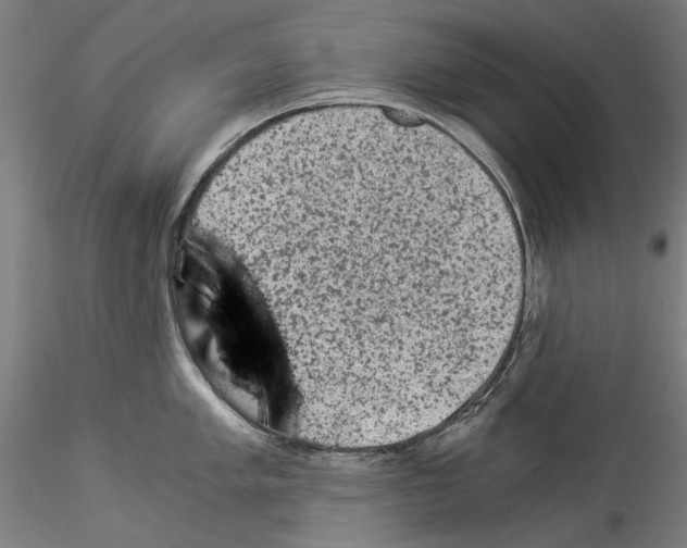 X0000114521005200911301112