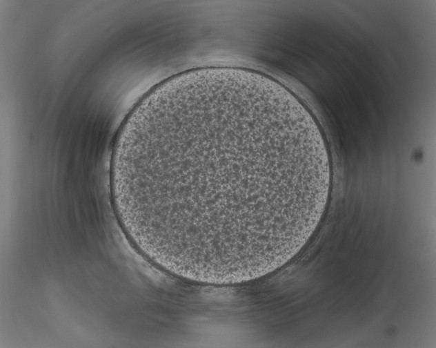 X0000114521006200911301112