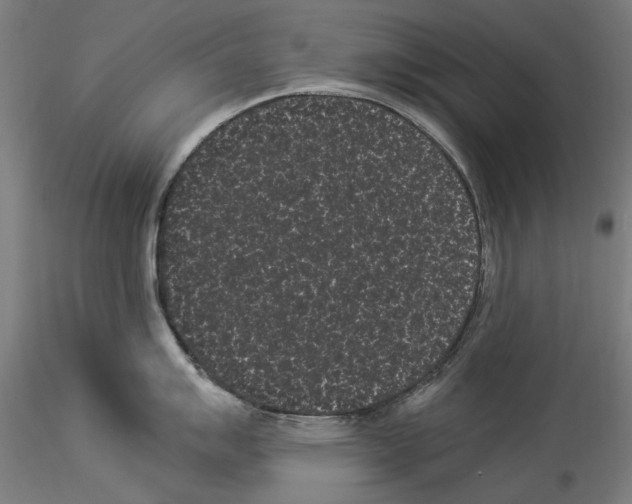 X0000114521007200911301112