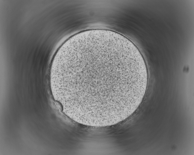 X0000114521008200911301112