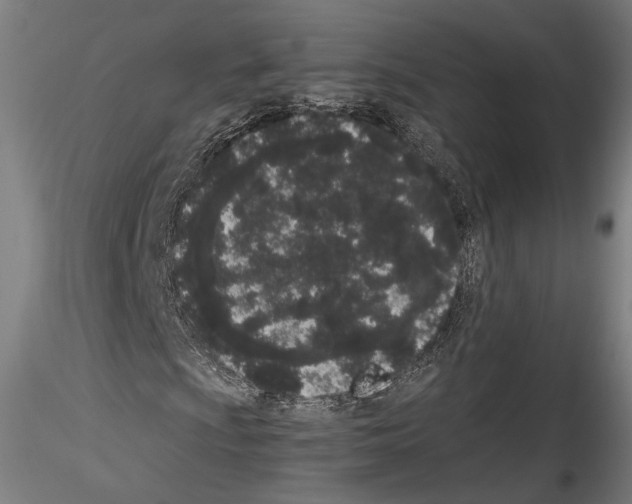 X0000114521009200911301111