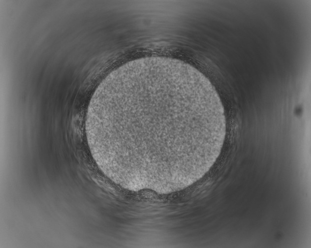 X0000114521010200911301111