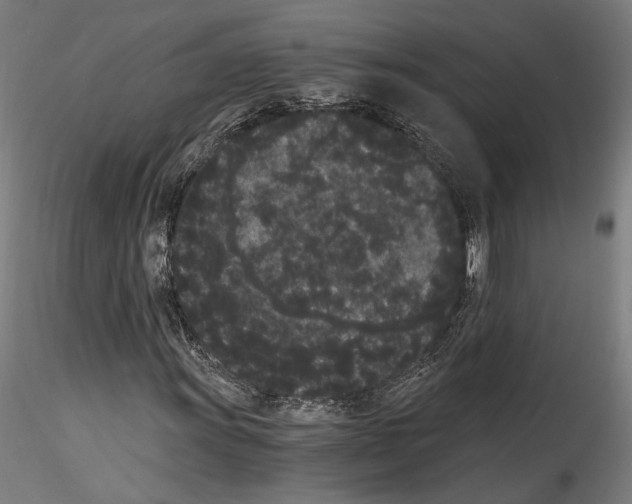 X0000114521011200911301111