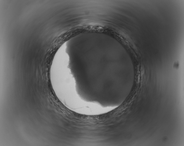 X0000114521013200911301111