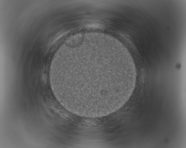 X0000114521015200911301111