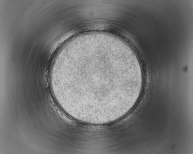 X0000114521018200911301111