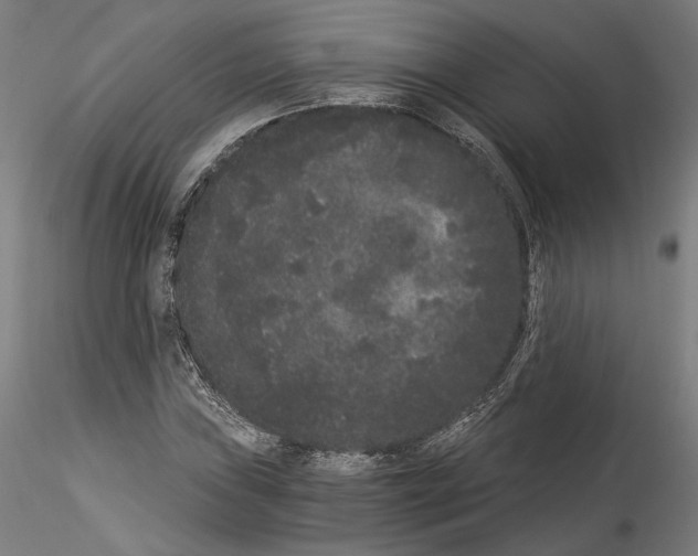 X0000114521019200911301111