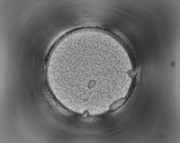 X0000114521021200911301111