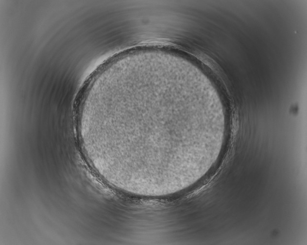 X0000114521022200911301111