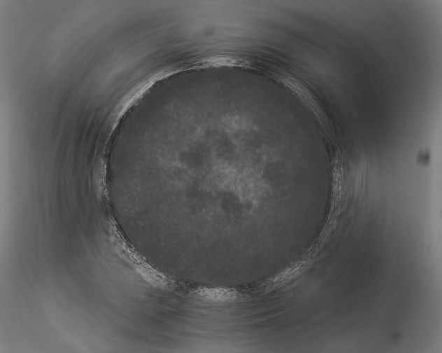 X0000114521023200911301111