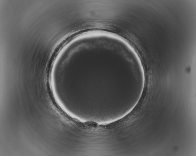 X0000114521024200911301111