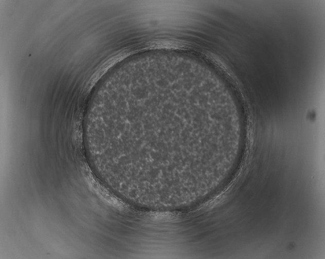 X0000114521025200911301111