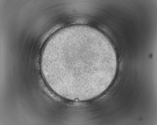 X0000114521026200911301111