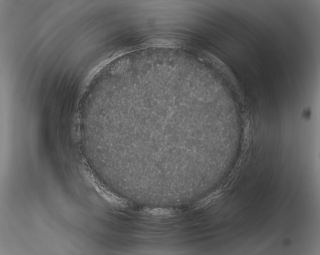 X0000114521027200911301111