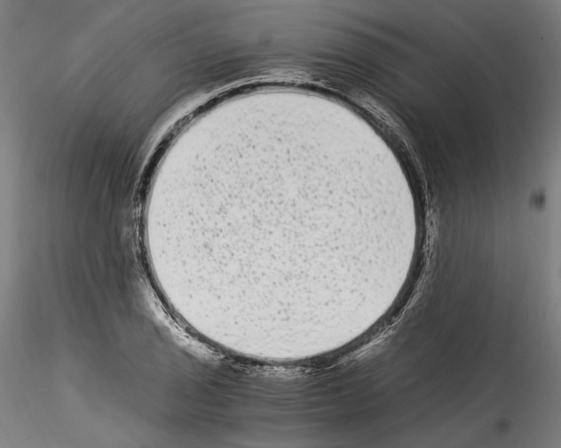 X0000114521029200911301111