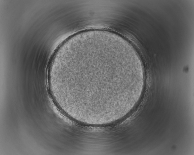 X0000114521030200911301111