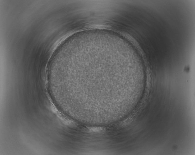 X0000114521031200911301111