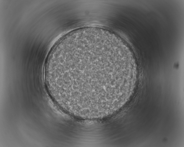 X0000114521032200911301111