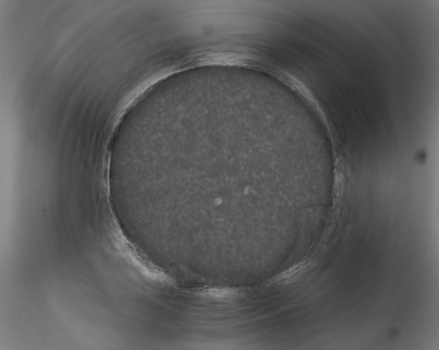 X0000114521035200911301112