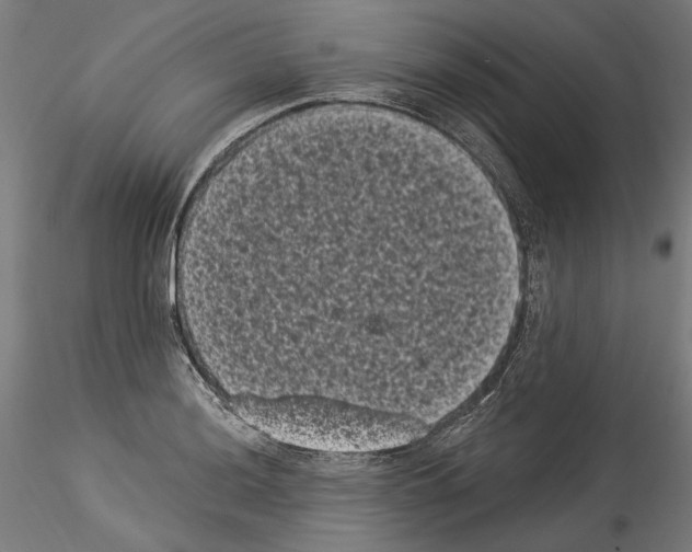 X0000114521036200911301112