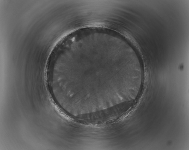 X0000114521037200911301112