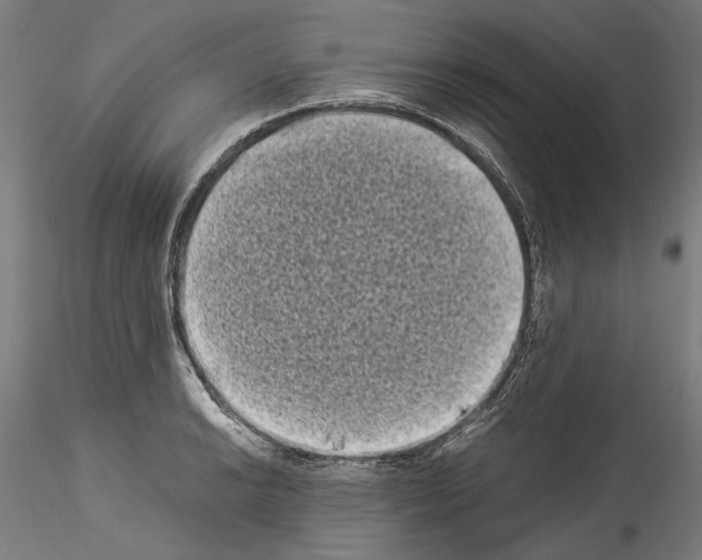 X0000114521038200911301112