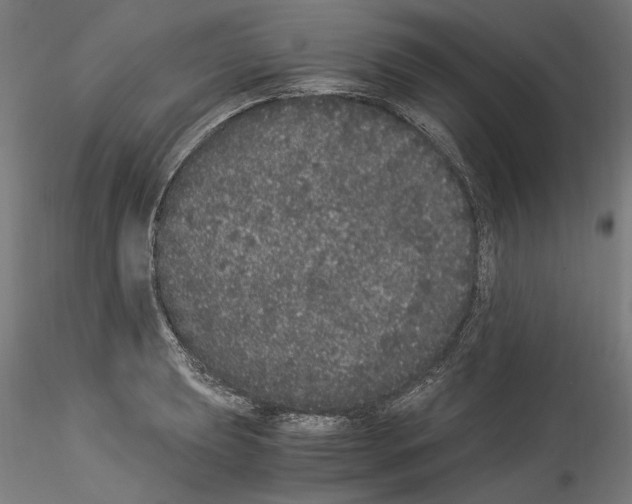 X0000114521039200911301112