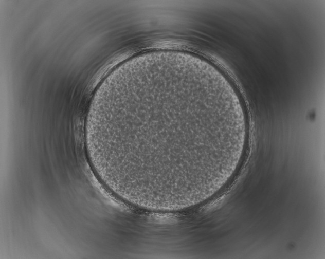 X0000114521041200911301112