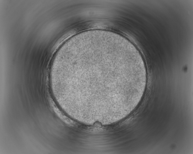 X0000114521042200911301112