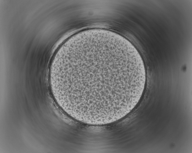 X0000114521044200911301112