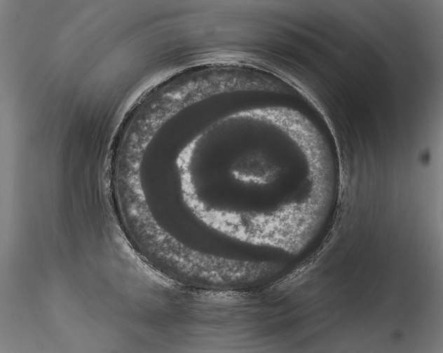 X0000114521045200911301112