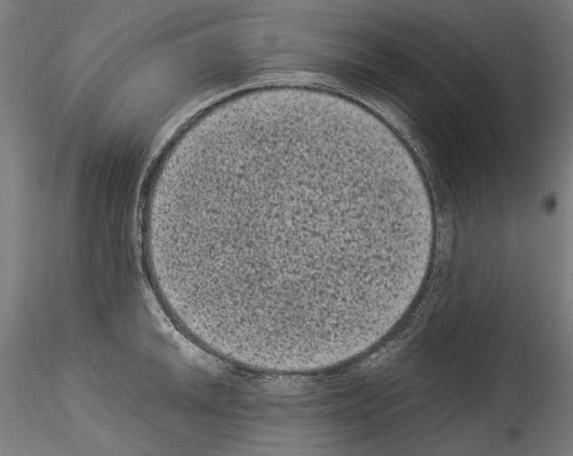 X0000114521046200911301112